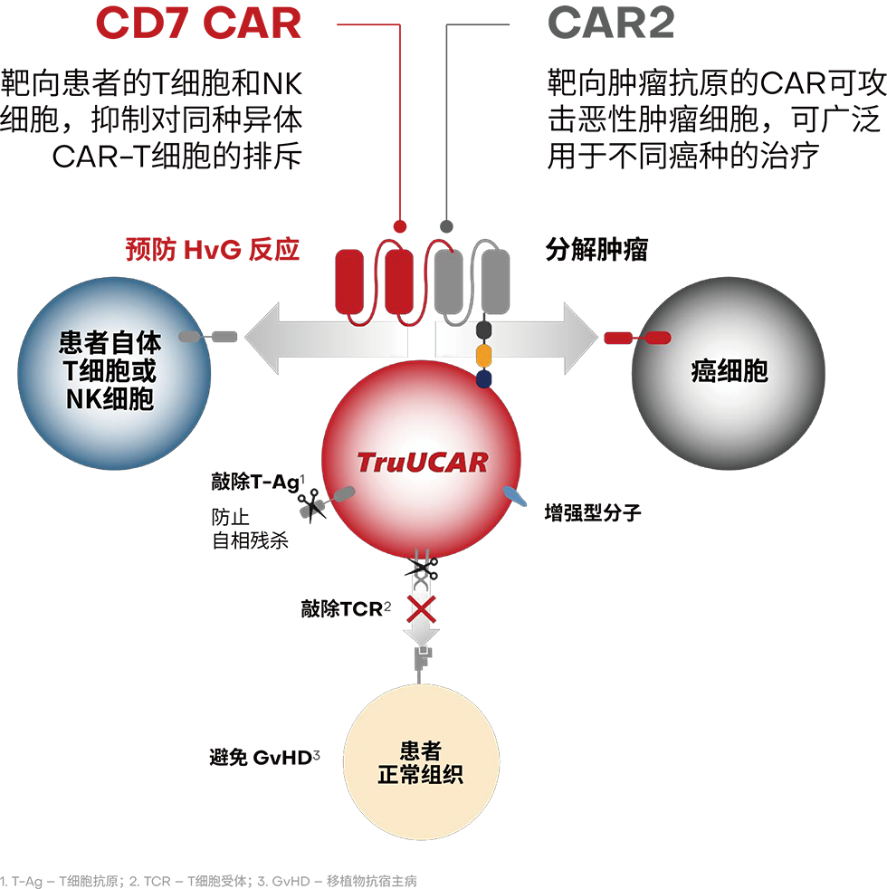 truucar1.2