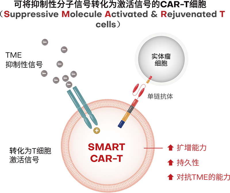 SMART-CART1-cn